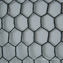 Fil hexagonal de fabrication de fil de PVC / fil de poulet pour l&#39;animal